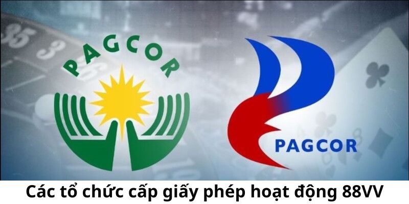 cac-to-chuc-cap-phep-hoat-dong-88vv