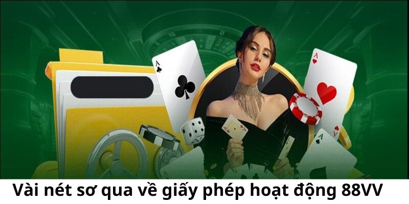 vai-net-so-qua-ve-giay-phep-hoat-dong-88vv